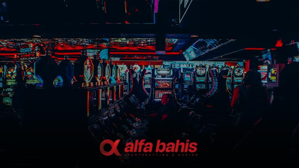 Alfabahis Lisans Bilgileri