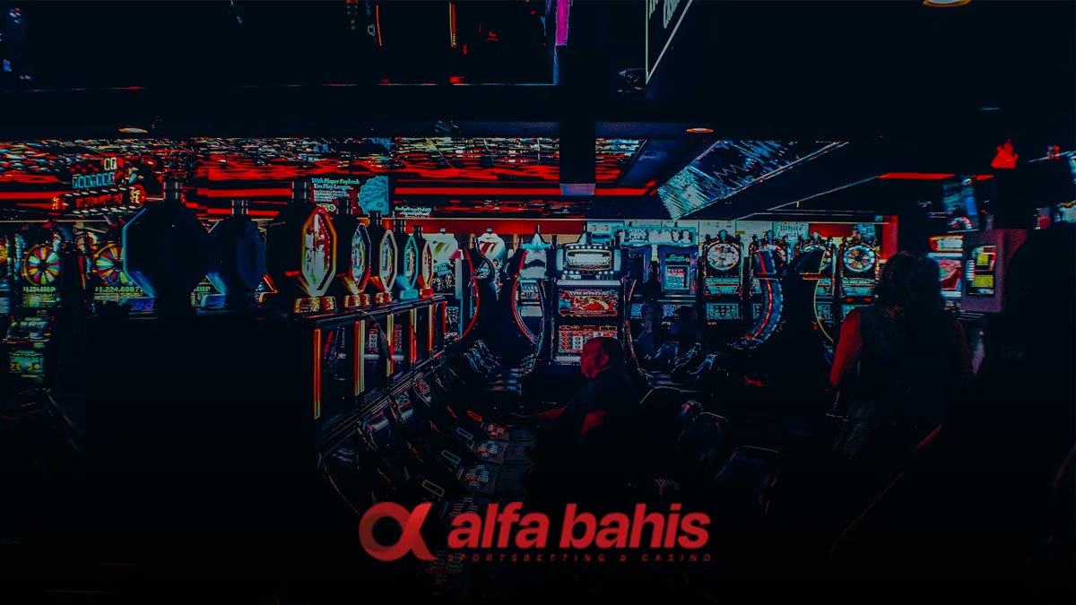 Alfabahis Lisans Bilgileri
