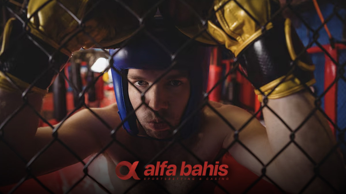 Alfabahis MMA bahisleri