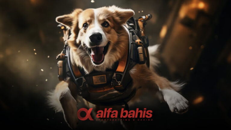 Alfabahis sanal köpek yarışı