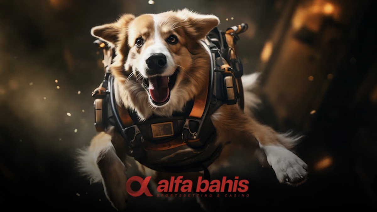Alfabahis sanal köpek yarışı