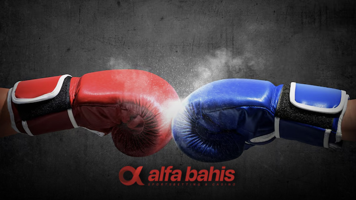 Alfabahis boks bahisleri